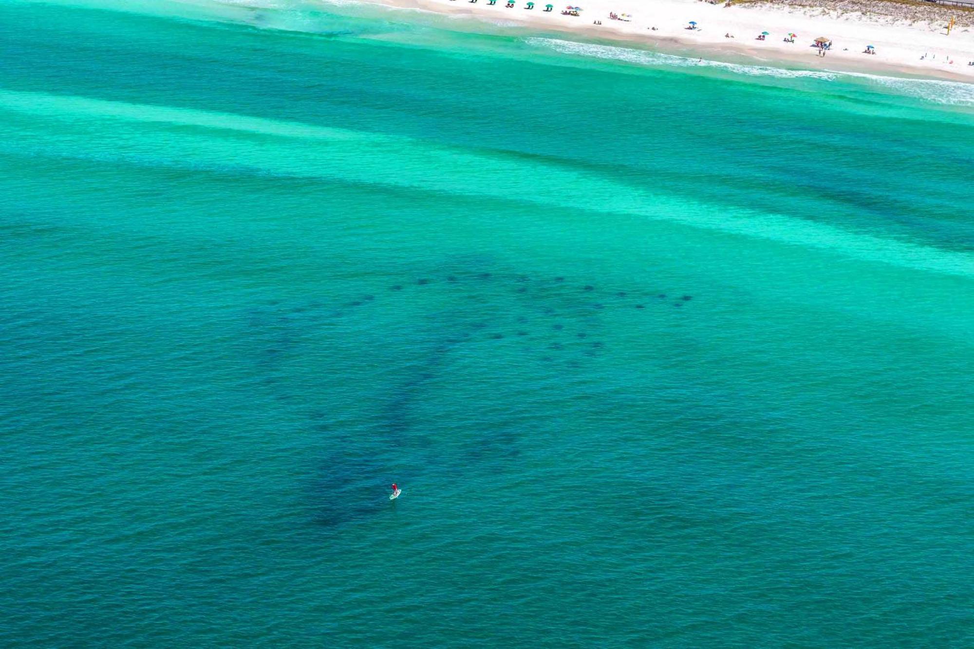 Aqua Vida Βίλα Ντέστιν Εξωτερικό φωτογραφία